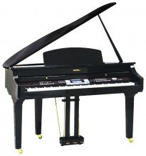 Medeli Grand1000
